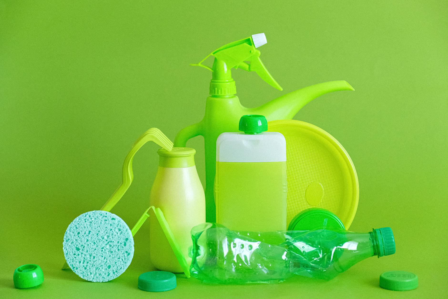 Professional eco friendly cleaning service